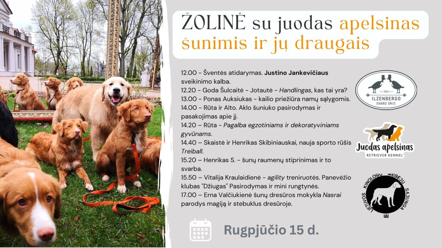 ŽOLINĖ SU JUODAS APELSINAS ŠUNIMIS IR JŲ DRAUGAIS