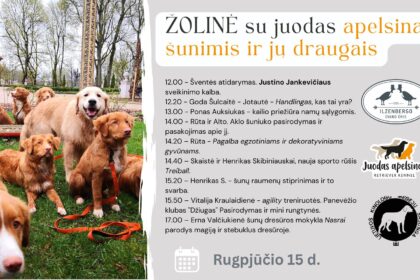 ŽOLINĖ SU JUODAS APELSINAS ŠUNIMIS IR JŲ DRAUGAIS